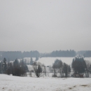 mg7_5553