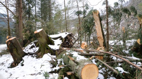 Wycieczka do Kościeliska i Zakopanego